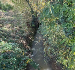 Boucle sympa à Maizières - Maizières-lès-Metz - 5