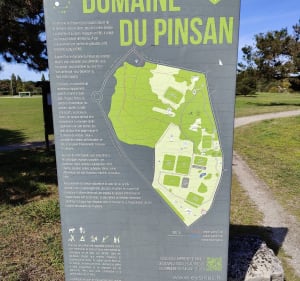 Balade urbaine entre forêt et chemin - Eysines - 3