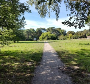 Balade urbaine entre forêt et chemin - Eysines - 4