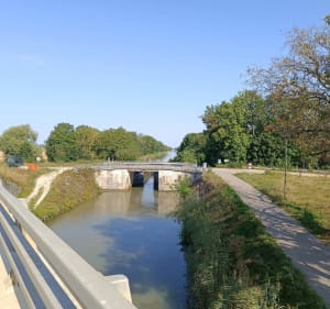 Détente en vélo de route à Marliens - Marliens - 3