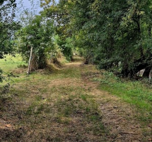 Balade entre champs, voie verte et hameau - Pranzac - 3