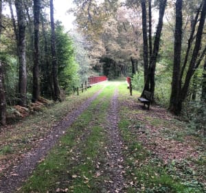 Boucle du Moun via l’Armagnac - Mont-de-Marsan - 5