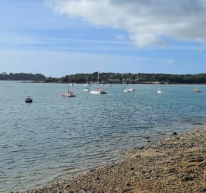 Promenade à Larmor-Baden - Larmor-Baden - 3