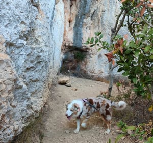 Cesseras et les gorges de la Cesse - FREDERIC - 4