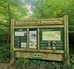 Balade en forêt de Montmorency - Saint-Leu-la-Forêt - 3