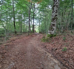 Sentier les Tupes - Saint-Denis-des-Murs - 3