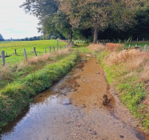 Sentier les Tupes - Saint-Denis-des-Murs - 4