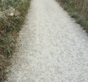 Petite balade du matin à la Pointe du Plomb - L'Houmeau - 3