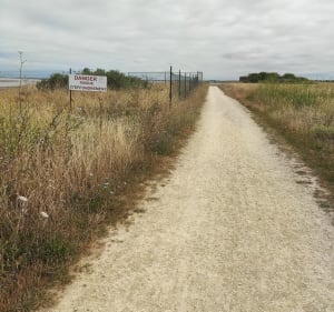 Petite balade du matin à la Pointe du Plomb - L'Houmeau - 4