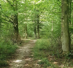 Circuit du Tannay - Haverskerque - 3