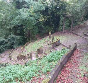 Le tour au pied de la Montagne Couronnée à l'orée des bois - Laon - 5