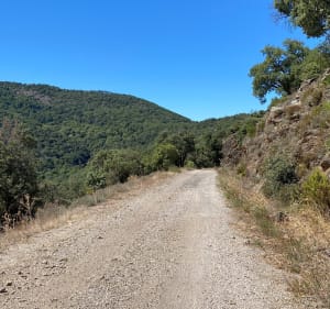 Boucle dans le massif des Maures - Hyères - 3