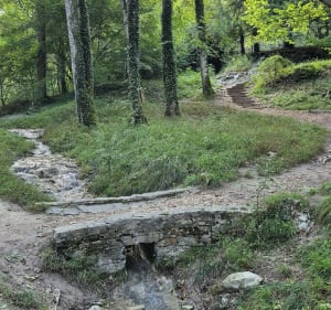 Source de Jouvence - Adrien - 3