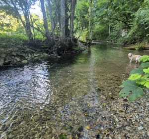 Source de Jouvence - Adrien - 4
