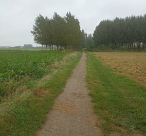 Boucle Sainghin - Peronnes En Melantois - Sainghin-en-Mélantois - 4