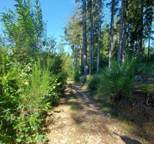 Tour du Mont Chonay - Deux-Grosnes - 3