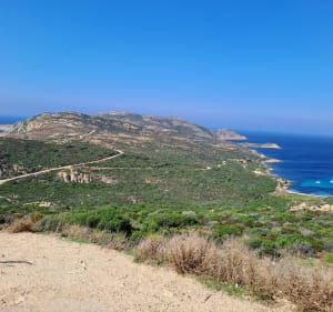 De Calvi à La Revellata - Calvi - 4
