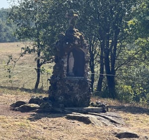 Ptite route tranquille, chemin, sous bois à Saint-Brice-sur-Vienne - Saint-Brice-sur-Vienne - 5