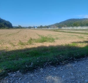 Balade dans l'arrière de Cessieu - Cessieu - 3