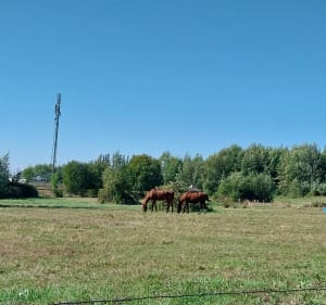 Entre champs et forêt par Petit Charmot depuis Villers-les-Pots - Villers-les-Pots - 4