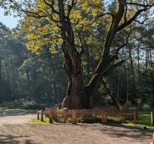 Les beaux chemins de Freyming - Hombourg-Haut - 4