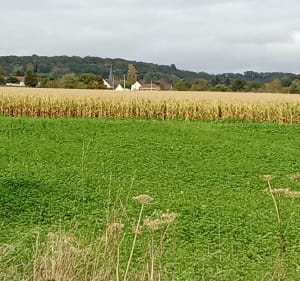 Bord de l'Oise et voie verte de Compiègne - Compiègne - 5