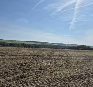 Balade dans les champs et au Bois de Hangard - Domart-sur-la-Luce - 3