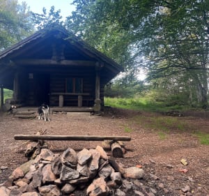 La source de la Doller au départ du Lachtelweiher - Kirchberg - 3