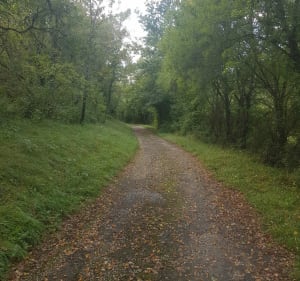 Sur les hauteurs de Laroque-des-Arcs - Bellefont-La Rauze - 3