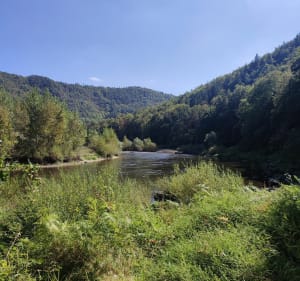 Boucle les passerelles au départ de la gare d'Aurec - Aurec-sur-Loire - 5