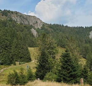 Boucle du Col de la Schlucht au Gazon du Faing - Le Valtin - 3
