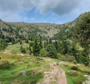 Boucle du Col de la Schlucht au Gazon du Faing - Le Valtin - 4