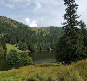 Boucle du Col de la Schlucht au Gazon du Faing - Le Valtin - 5