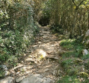 Pic du Jer par le GR 78 - Carine - 4