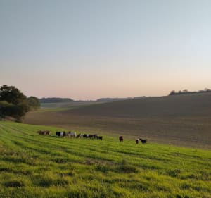 Tour touristique de Bertangles - Bertangles - 4