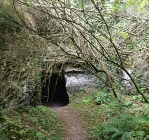 Entre champs et forêts dans le bois de Brillehaut - Saint-Pierre-la-Garenne - 3