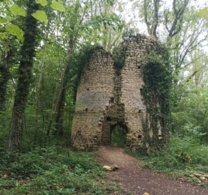 Entre champs et forêts dans le bois de Brillehaut - Saint-Pierre-la-Garenne - 4