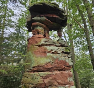 Rochers du Pilsfels et du Hundskopf Sturzelbronn - Sturzelbronn - 3