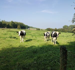 Les coteaux de la Biette - Ourton - 4