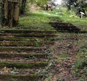 Halage sur la Mayenne entre Origné et Houssay - Origne - 4