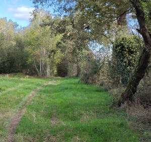 De Villeneuve à la Pierre Brune de Rancé - Villeneuve - 3