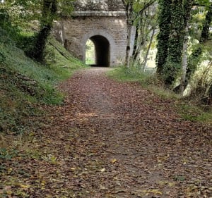 Halage sur la Mayenne entre Origné et Houssay - Origne - 5