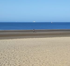 Entre champs forêt et plage - Saint-Georges-de-Didonne - 4