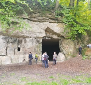 Balade en forêt à Saint-Gobain - Saint-Gobain - 5