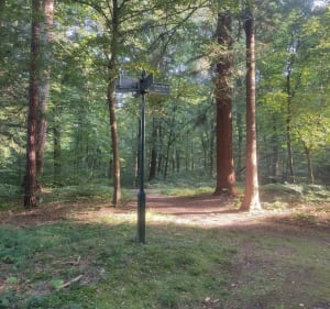 La boucle des grands hêtres - Crécy-en-Ponthieu - 5