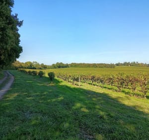Randonnée à la campagne de Gourville - Rouillac - 3