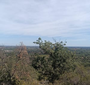 Autour de Montesquieu-des-Albères - Montesquieu-des-Albères - 4