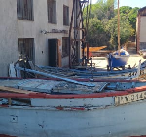 Boucle Port-Vendres/Paulilles par le sentier du littoral.. - Port-Vendres - 5