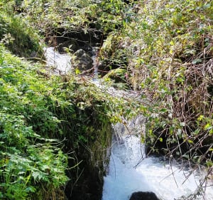 Cascade spendide - Bagnères-de-Bigorre - 3