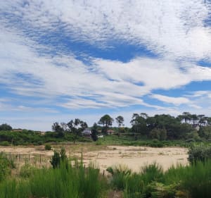 Forêt Pignada par le Pavillon Chinois - Anglet - 4